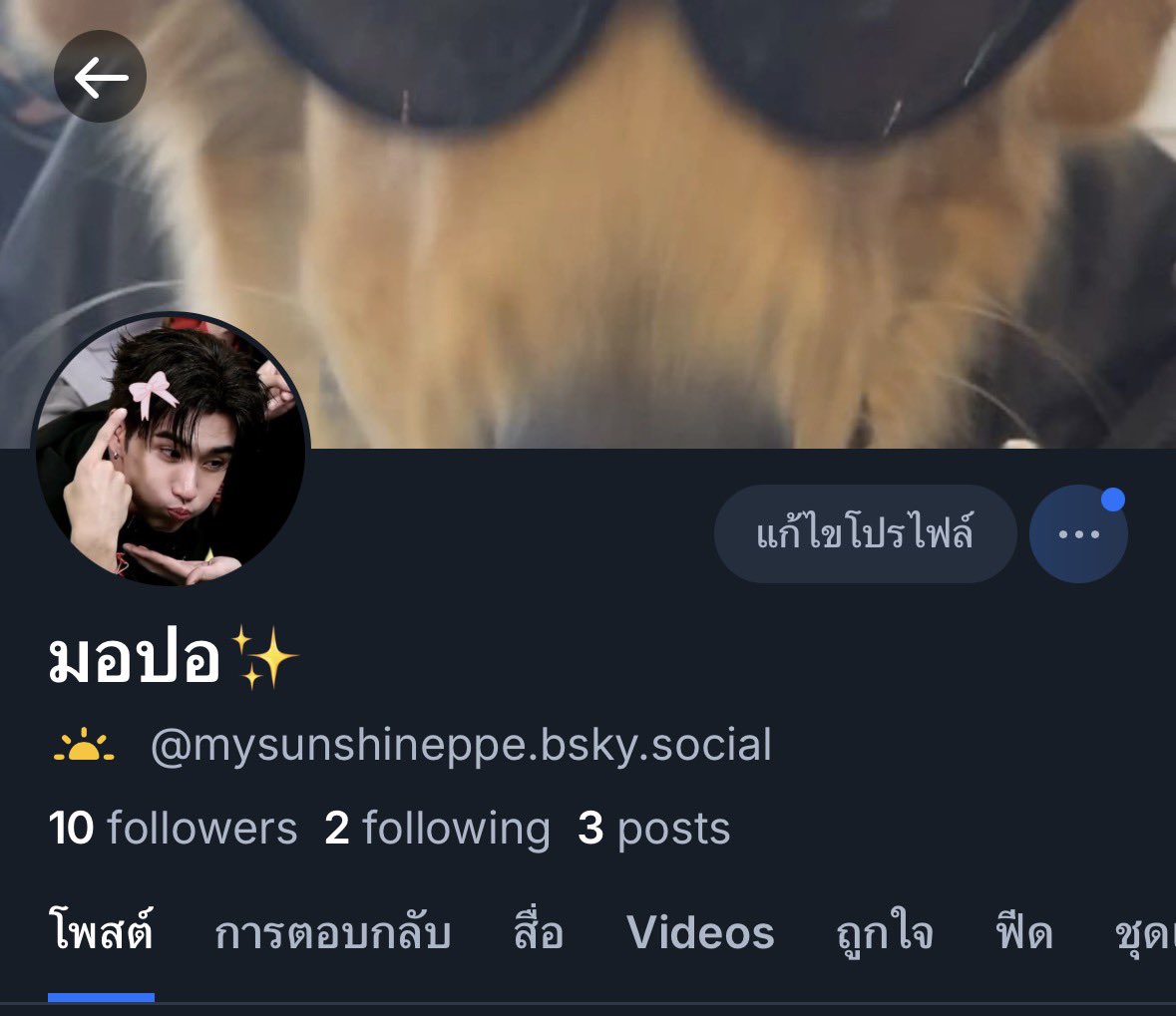 morporr✨ tweet media