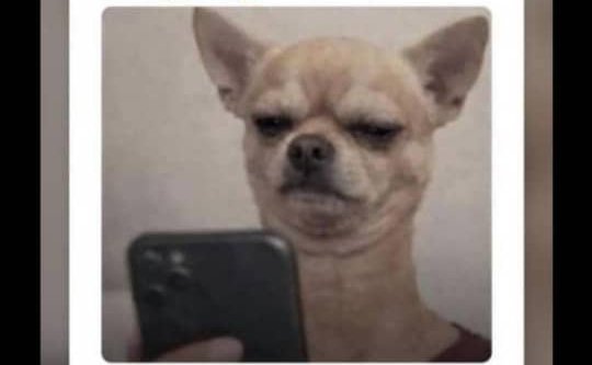 NIMATIC🧩 tweet media