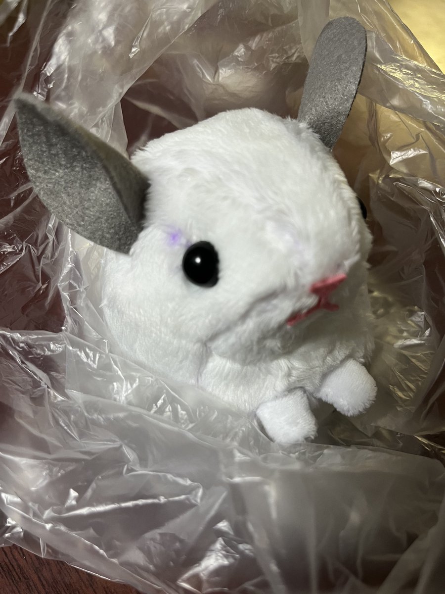 すぅ。 tweet media