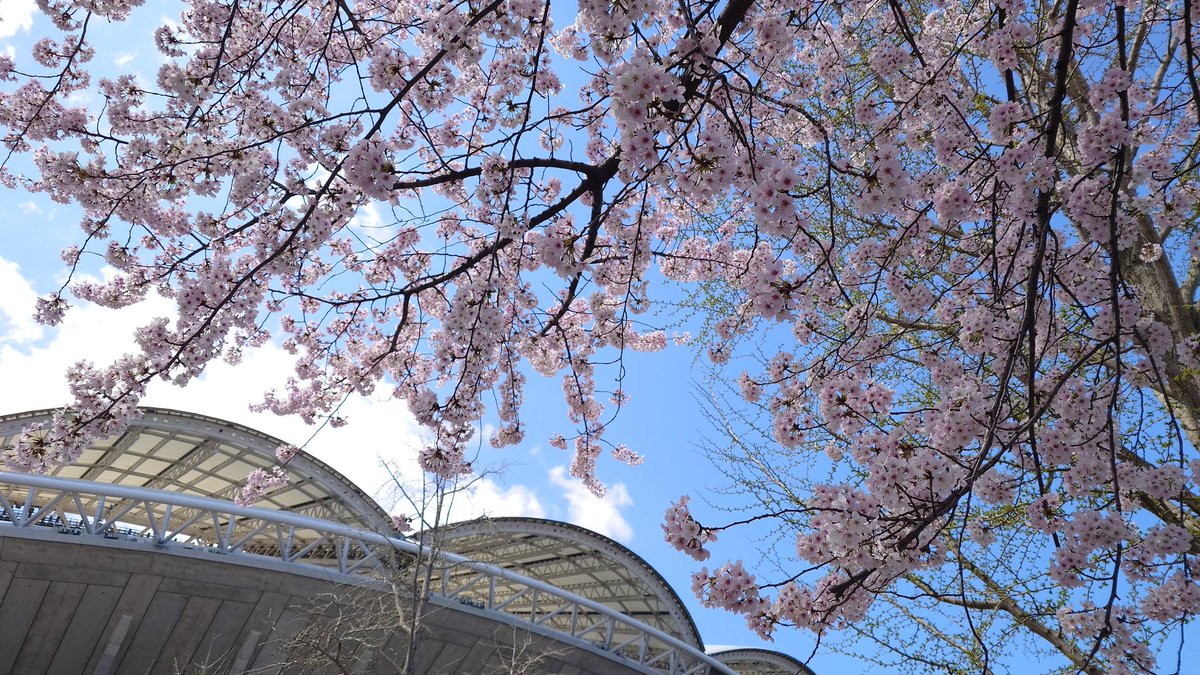 山田彩乃 tweet media