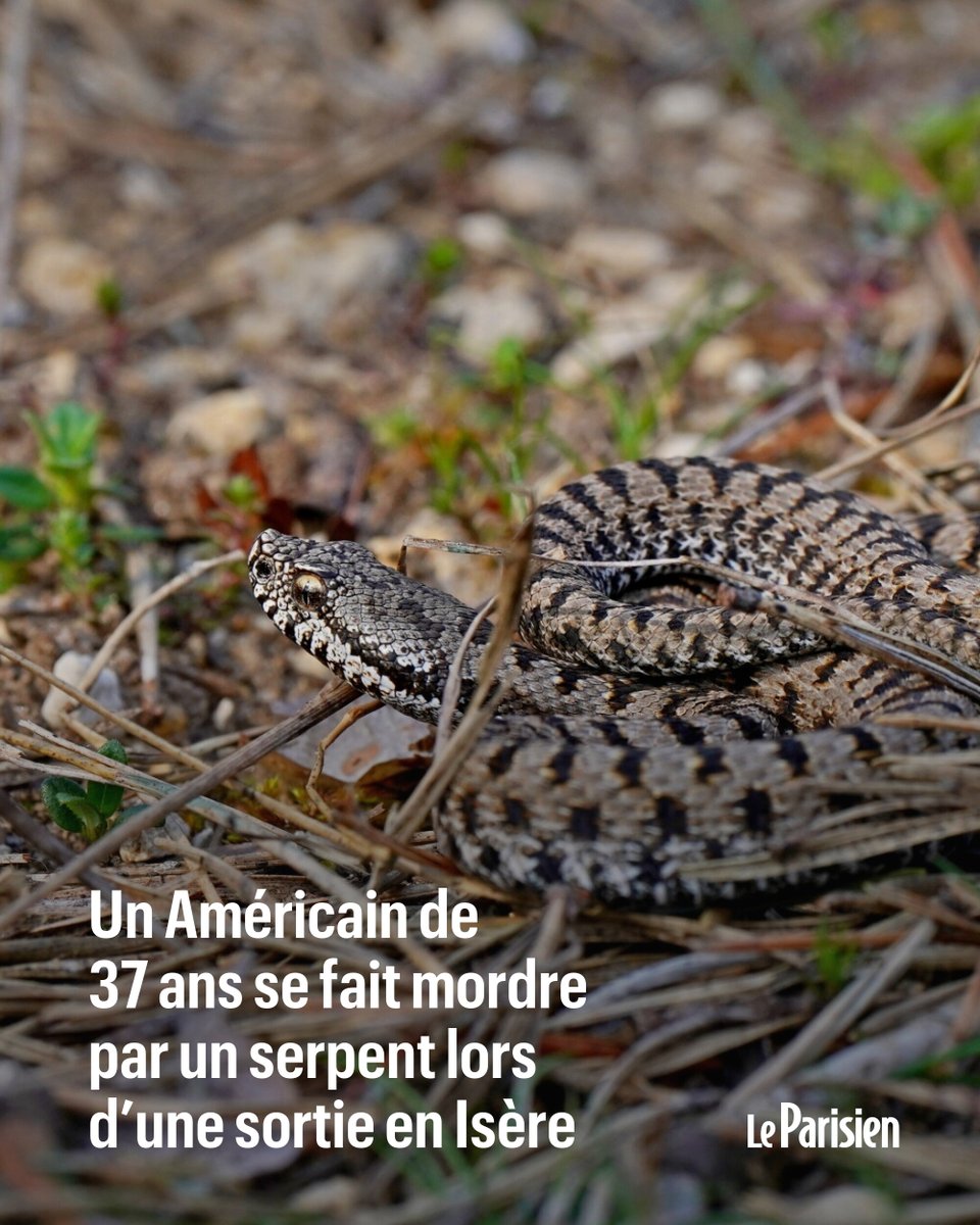 Le Parisien tweet media
