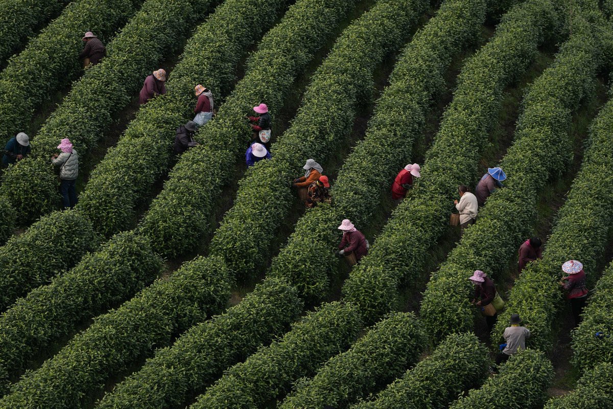 FlyOverChina tweet media