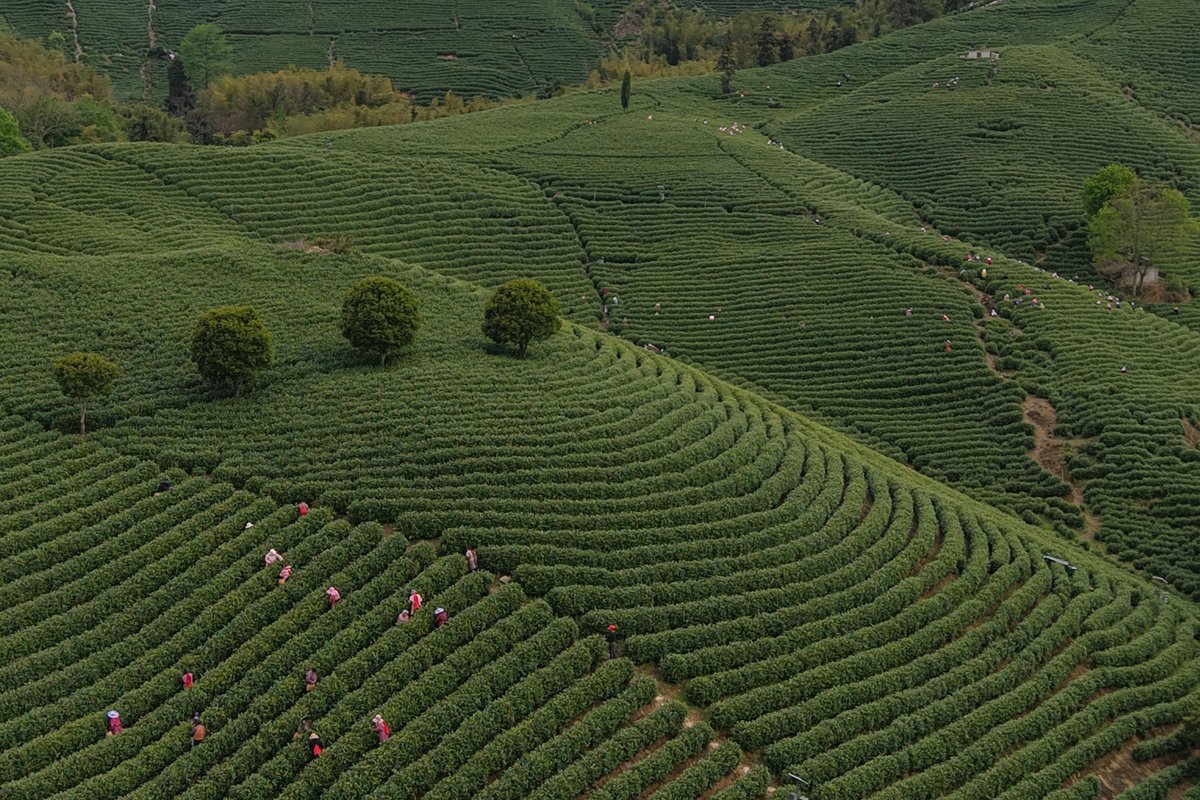 FlyOverChina tweet media