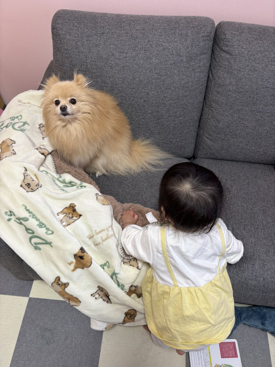 あぐ(8)うに(3)🐾🐾 tweet media