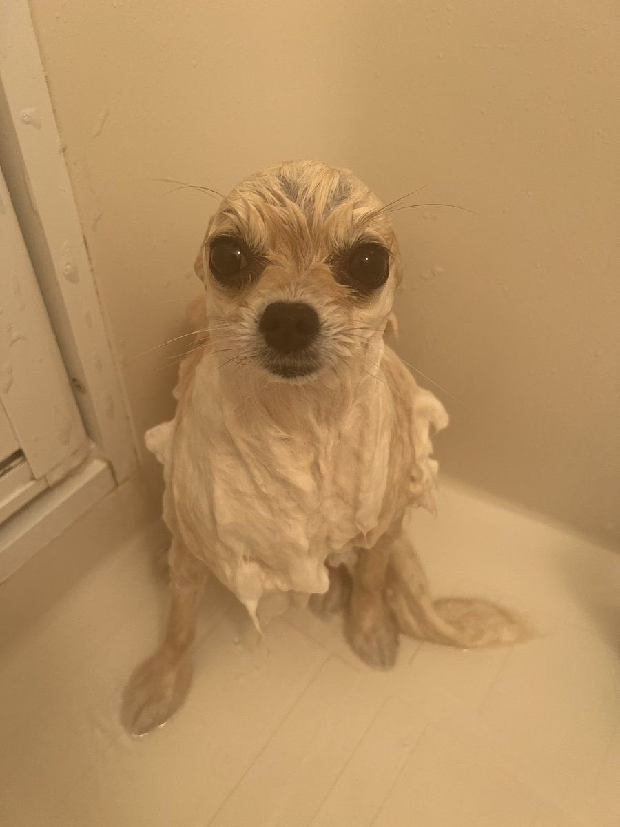 jungkoomf tweet media