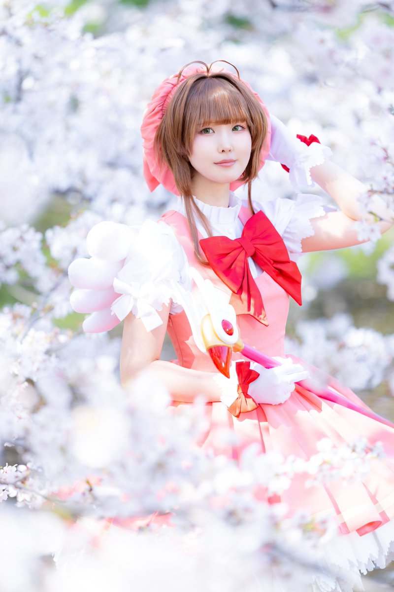 こんぽた🌽 tweet media