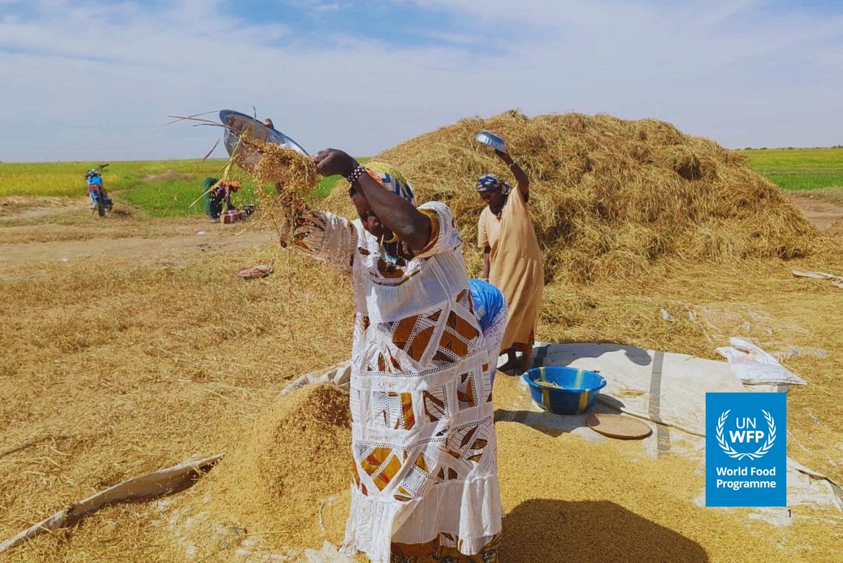 WFP Mali tweet media