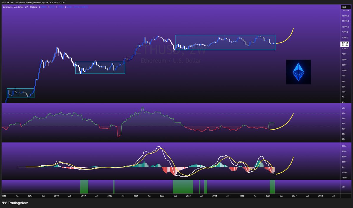 Dorkchicken tweet media