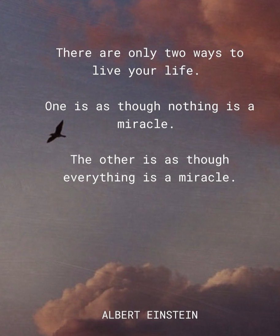 mindfulheal's tweet photo. Everything is a miracle. Everything. https://t.co/AJ8XQNCQ67