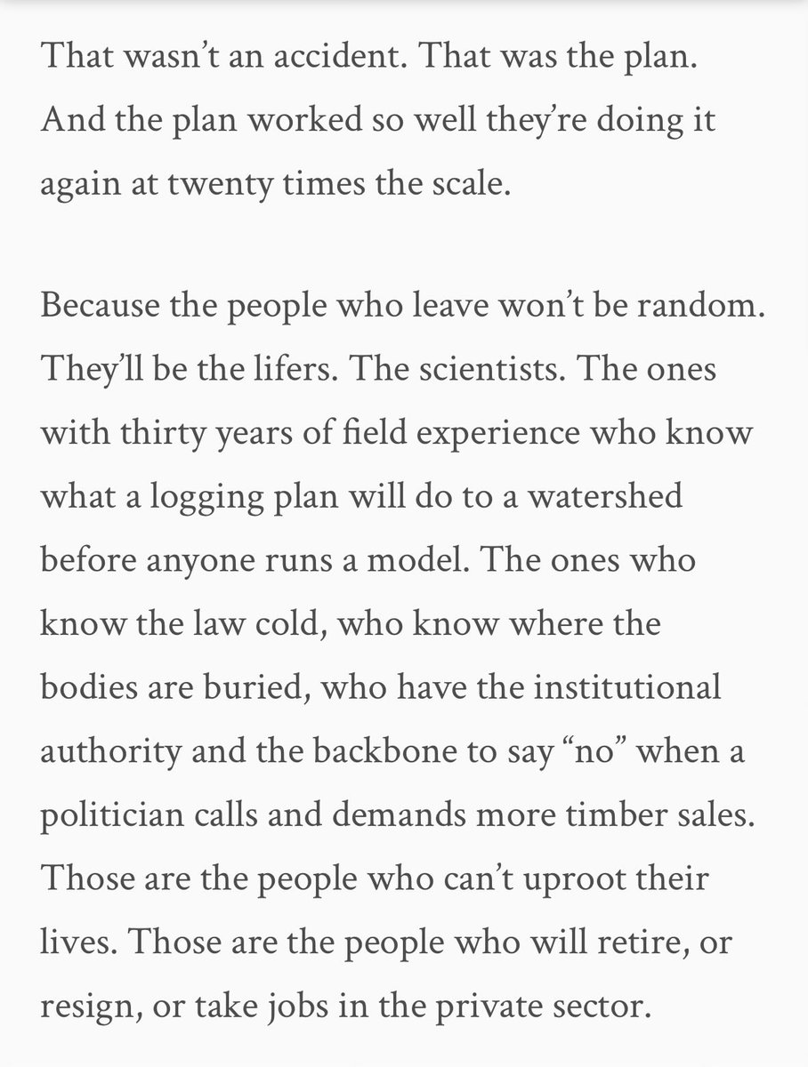 Kat Rosenfield tweet media