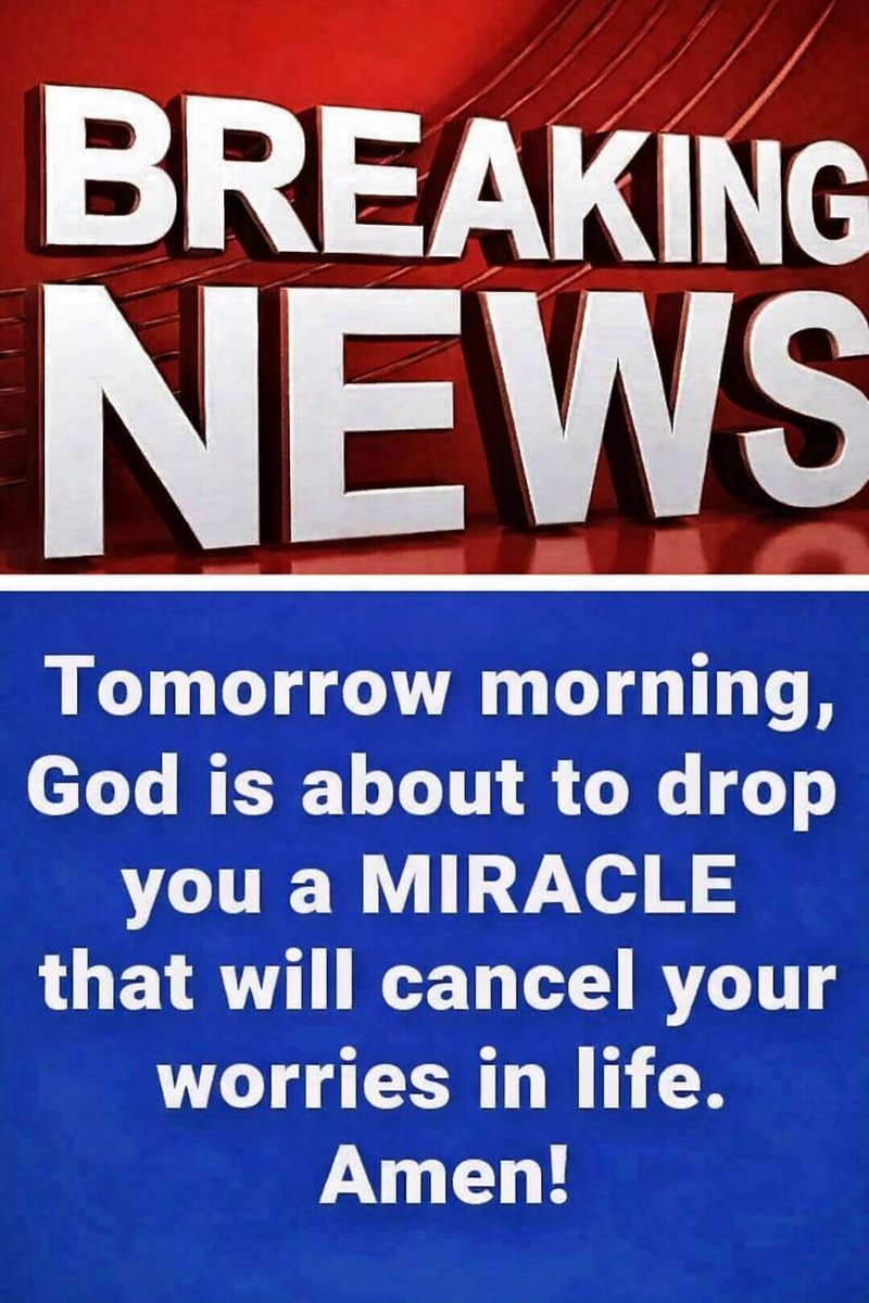 ProgressCode🌺 tweet media