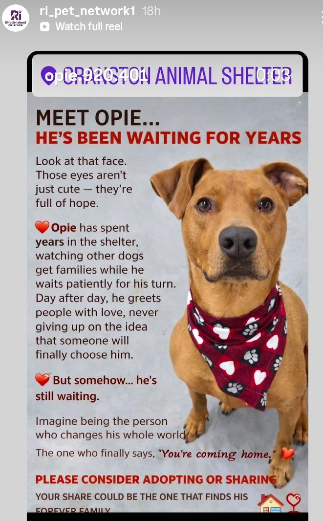 Providence Guy tweet media