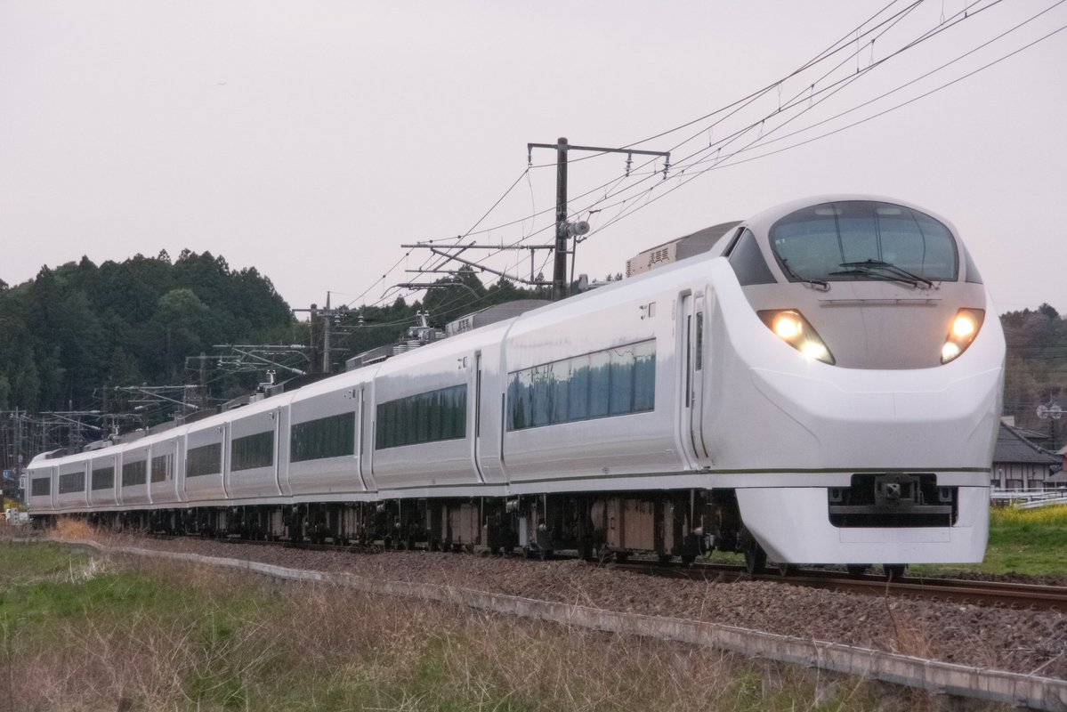 二毛猫 tweet media