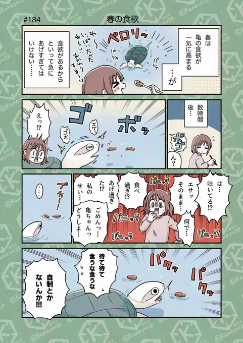 亀飼い漫画「春の食欲」 