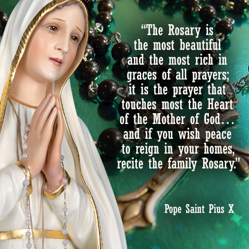 AmericaNFatima's tweet image. “The Rosary… brings peace to your home.” — Pope St. Pius X

Pray it today. 🙏

#Rosary #Catholic #Prayer #Family #Peace