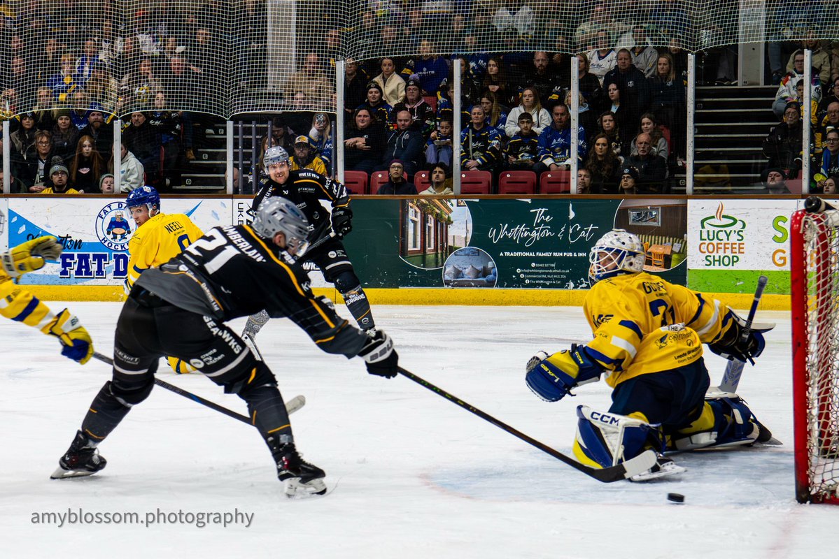 hullseahawks's tweet image. You just had to be there! 🦅

#LetsGoSeahawks #LetsDoThis

📸 @amyblossom.photography
📸 @krephotos