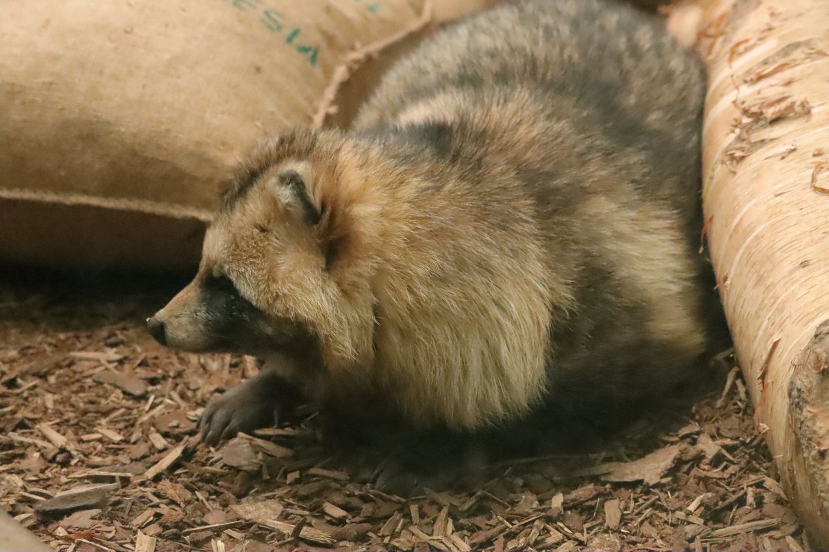 和宏(写真置き場) tweet media