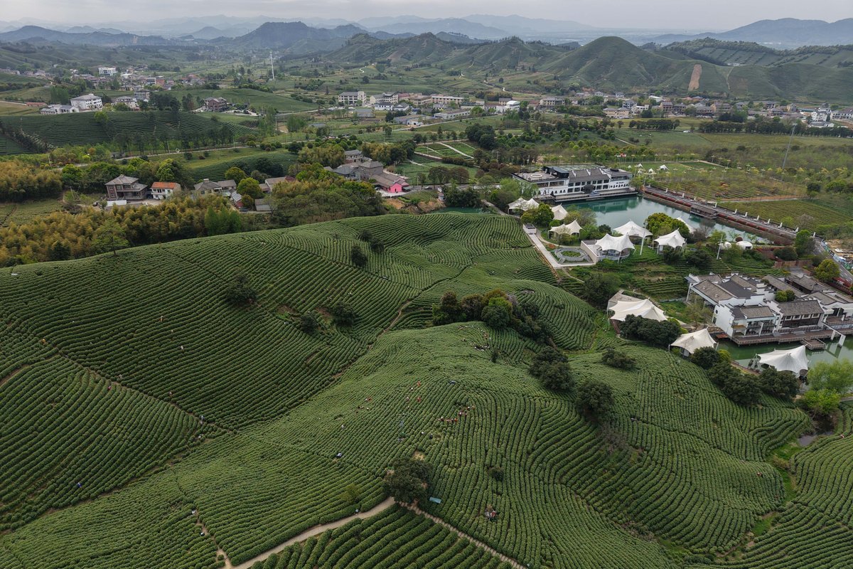 FlyOverChina tweet media