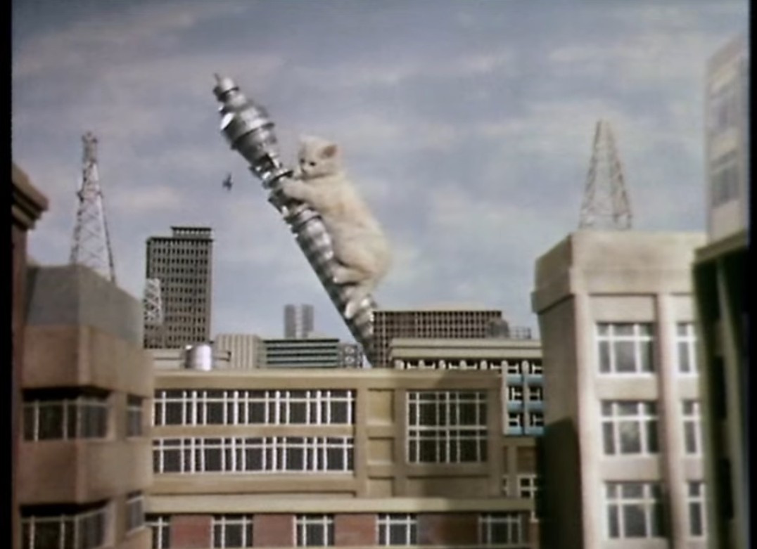 JohnBensalhia's tweet photo. Whole Lotta Cat!
Kitten Kong is unleashed on this Goodies day in 1972 in a redux special edition. https://t.co/zZpBMg8wS7
