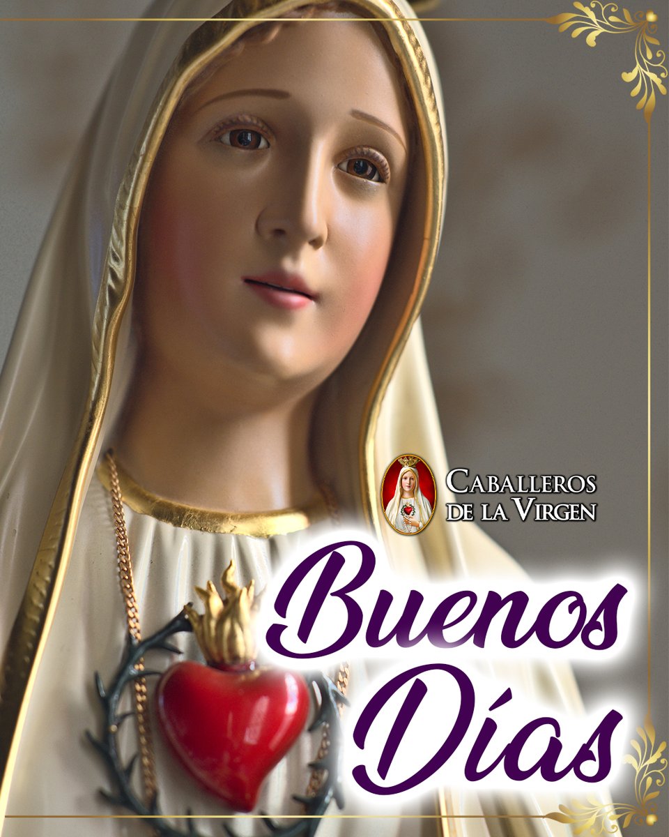 Caballeros de la Virgen tweet media