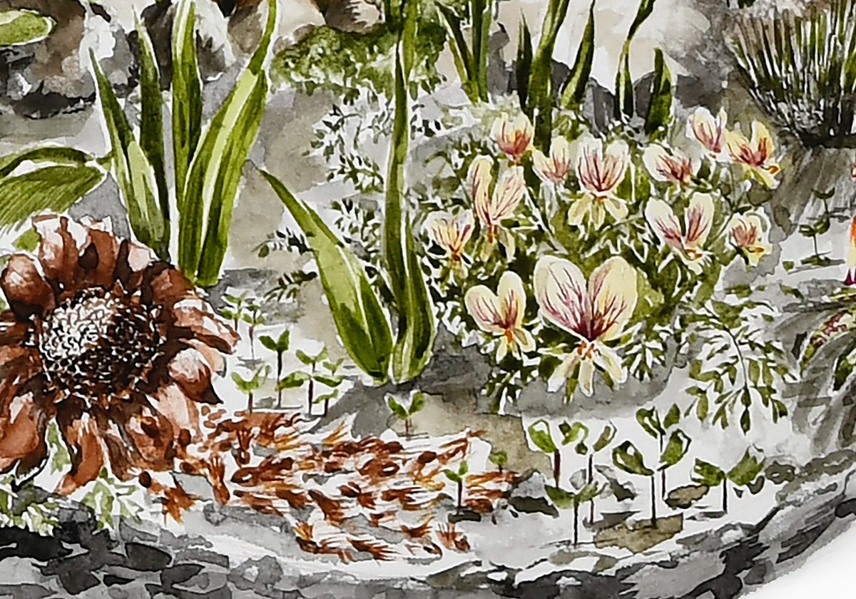 visitstanford's tweet image. 🌿🔥South Africa is set to unveil a breathtaking new floral design at this year’s Chelsea Flower Show, created by acclaimed designer Leon Kluge
This year’s design is called ‘Life after Fire.’
#ChelseaFlowerShow #LifeAfterFire #Fynbos #SouthAfrica #FloralDesign #NatureResilience