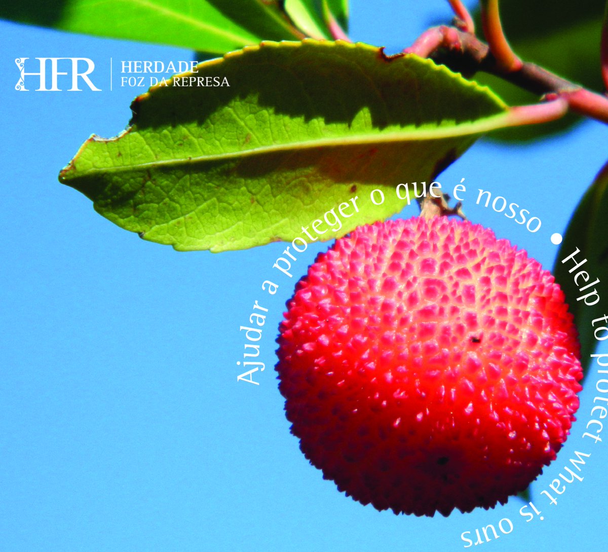 HerdadeFozdaRep's tweet image. Join us at Herdade Foz da Represa to protect the Alentejo Countryside! local heritage, and pristine nature—help us preserve this treasure

Visit us:

HerdadeFozDaRepresa.com 

#Alentejo #Sustainable