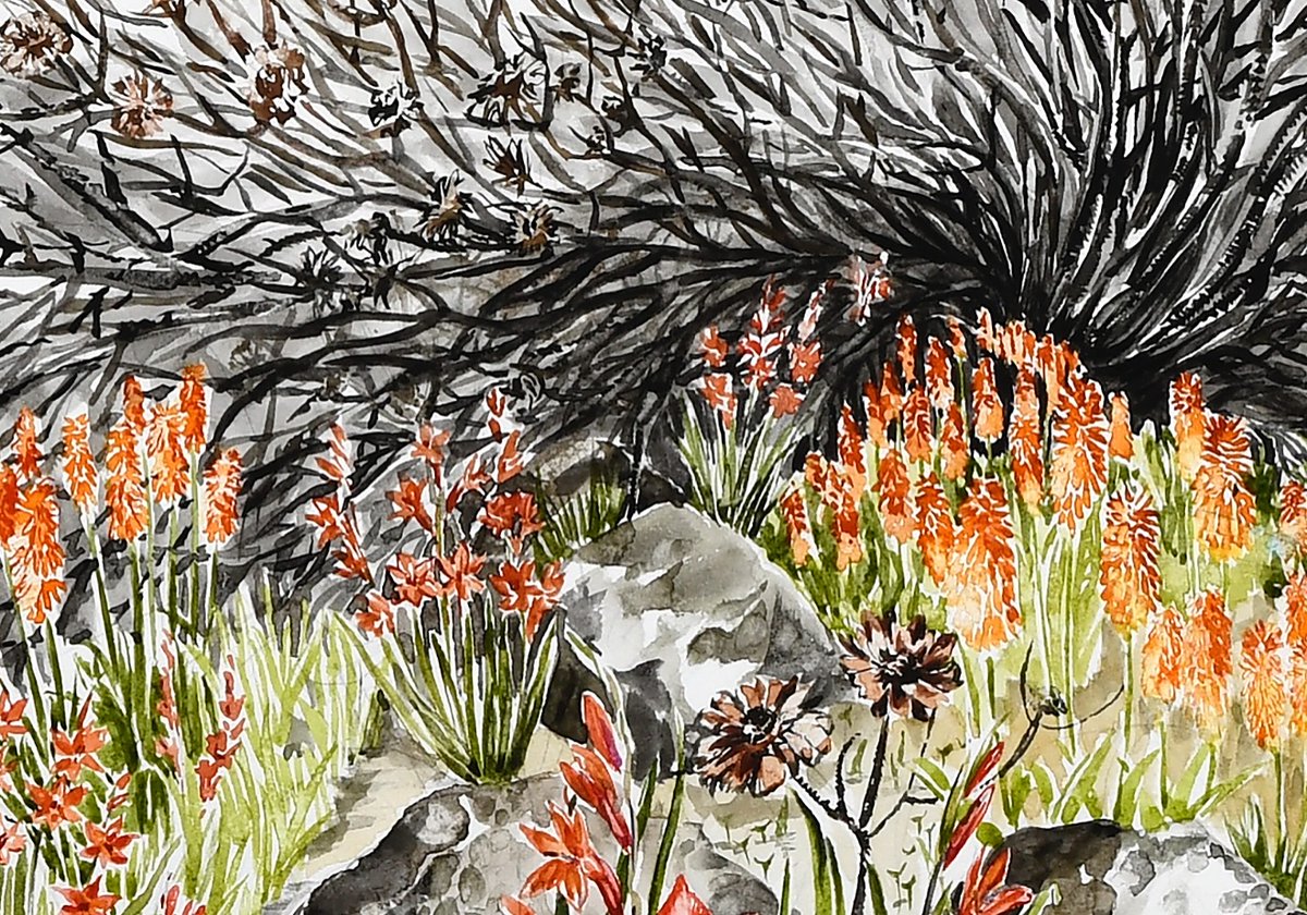 visitstanford's tweet image. 🌿🔥South Africa is set to unveil a breathtaking new floral design at this year’s Chelsea Flower Show, created by acclaimed designer Leon Kluge
This year’s design is called ‘Life after Fire.’
#ChelseaFlowerShow #LifeAfterFire #Fynbos #SouthAfrica #FloralDesign #NatureResilience