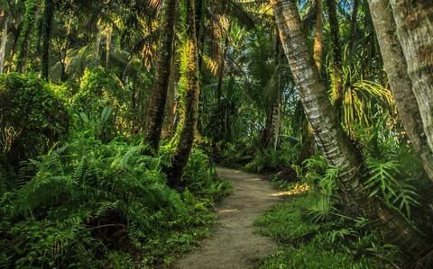 Stars and Stripes Pacific tweet media