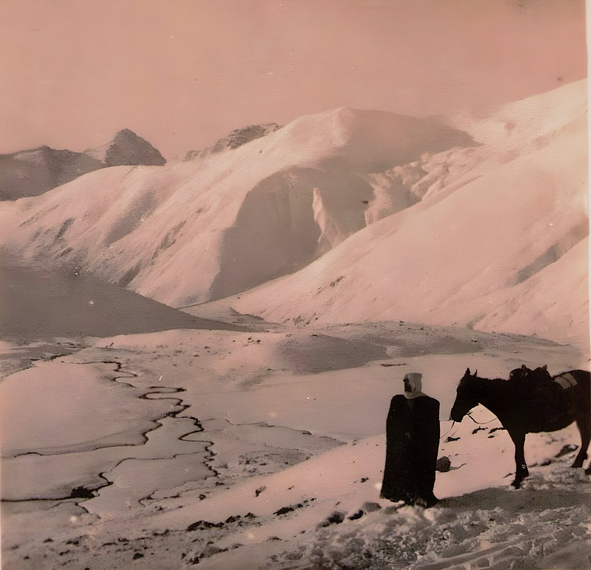 PAN CAUCASUS tweet media