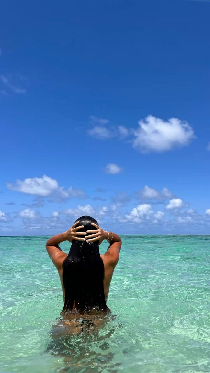 Mauritius Island tweet media