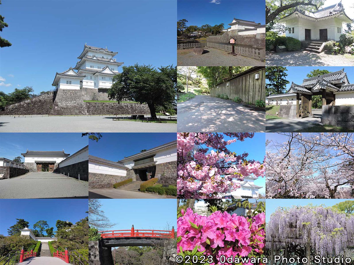 【正式開催決定・拡散希望】

大変長らくお待たせしました。

コスプレイベント
『小田原写真館 ＋ 小田原城址公園🏯』
2026年5月23日(土)正式開催決定！
紫陽花と花菖蒲が咲き始めます！

事前申込不要、当日登録制での開催です。
体調や天候を確認してからご参加いただけます。

#小田原写真館