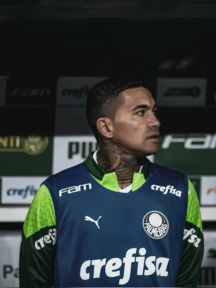 🐷🇦🇷 tweet media