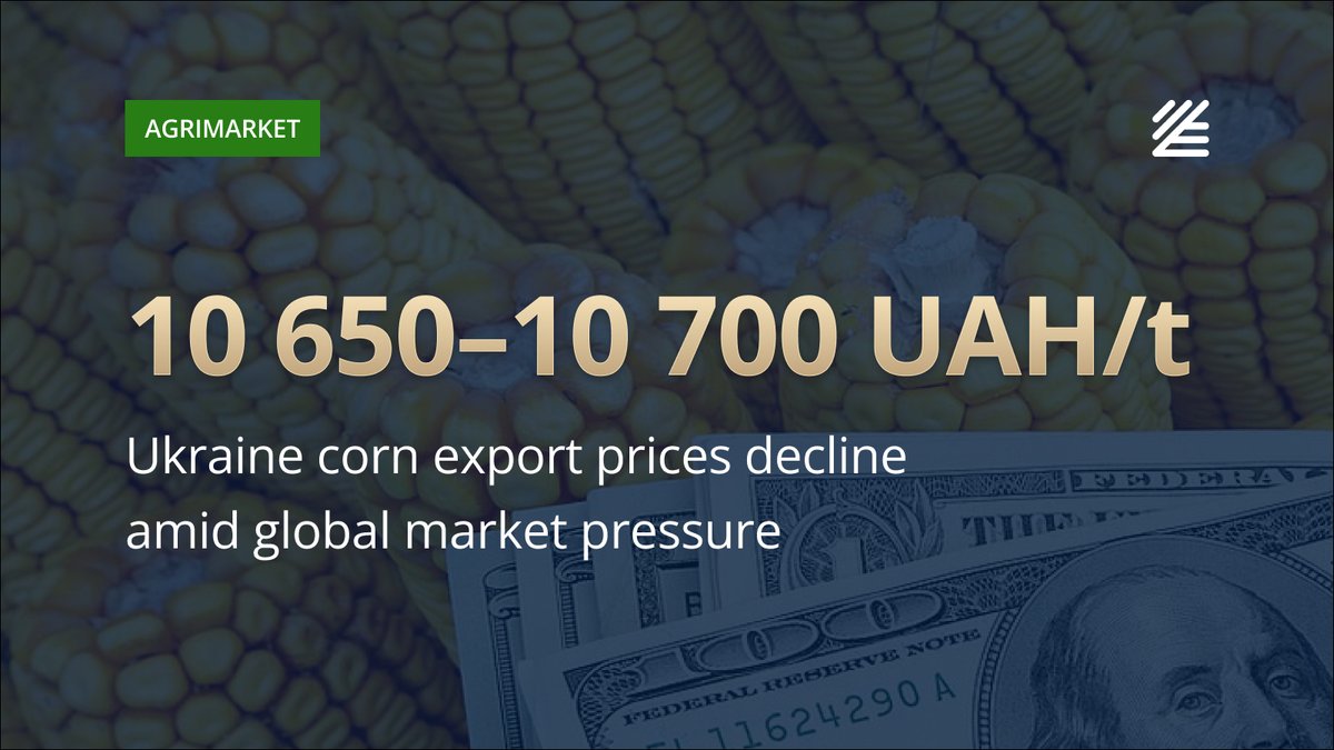 UkrAgroConsult's tweet image. 🇺🇦 #Ukraine #corn #export #prices decline amid global market pressure

In Ukraine, corn export prices declined by UAH 50–100/t over the week to UAH 10,650–10,700/t delivered to Black Sea ports. 

More details 👉ukragroconsult.com/?p=313075