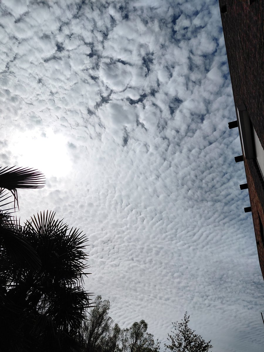 🌹Elisabeth🌹🇳🇱🚜❣️🇮🇹🚜 tweet media