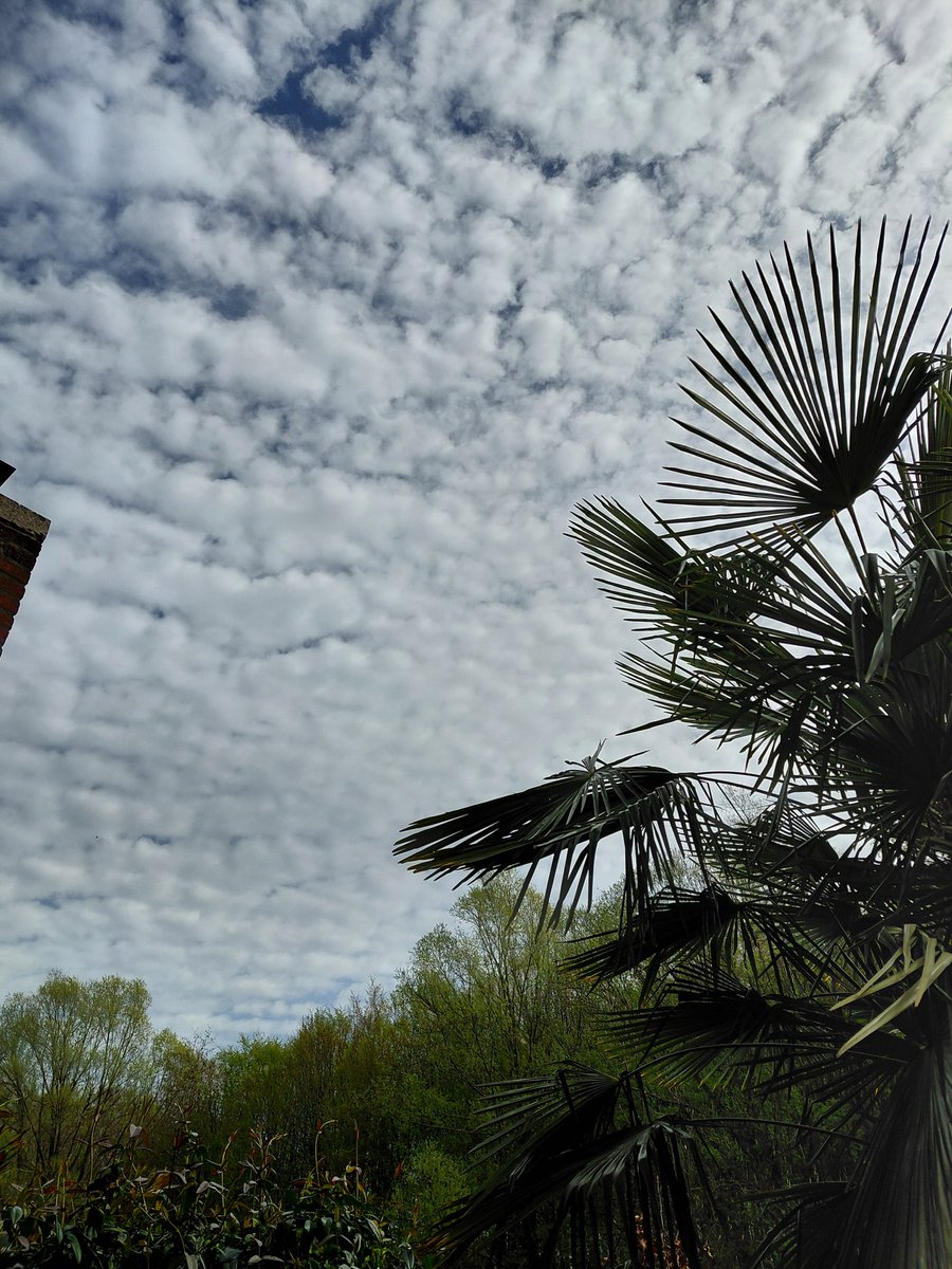 🌹Elisabeth🌹🇳🇱🚜❣️🇮🇹🚜 tweet media