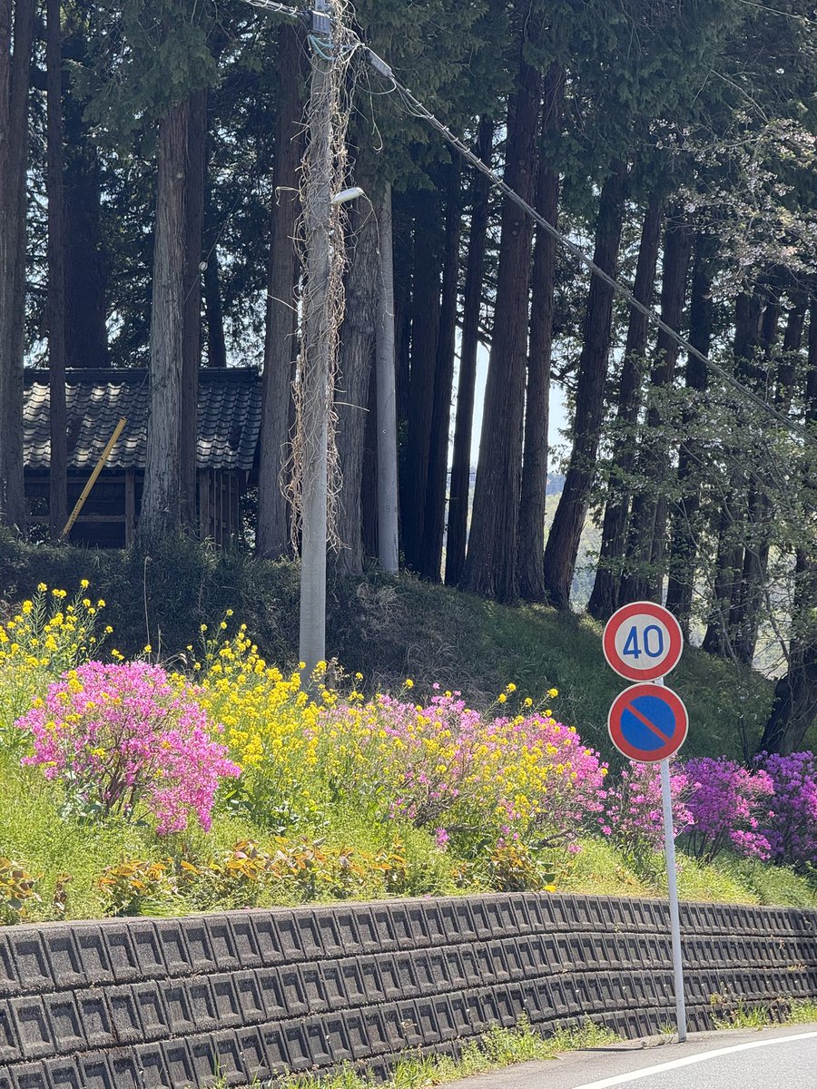 tokyo_todd tweet media