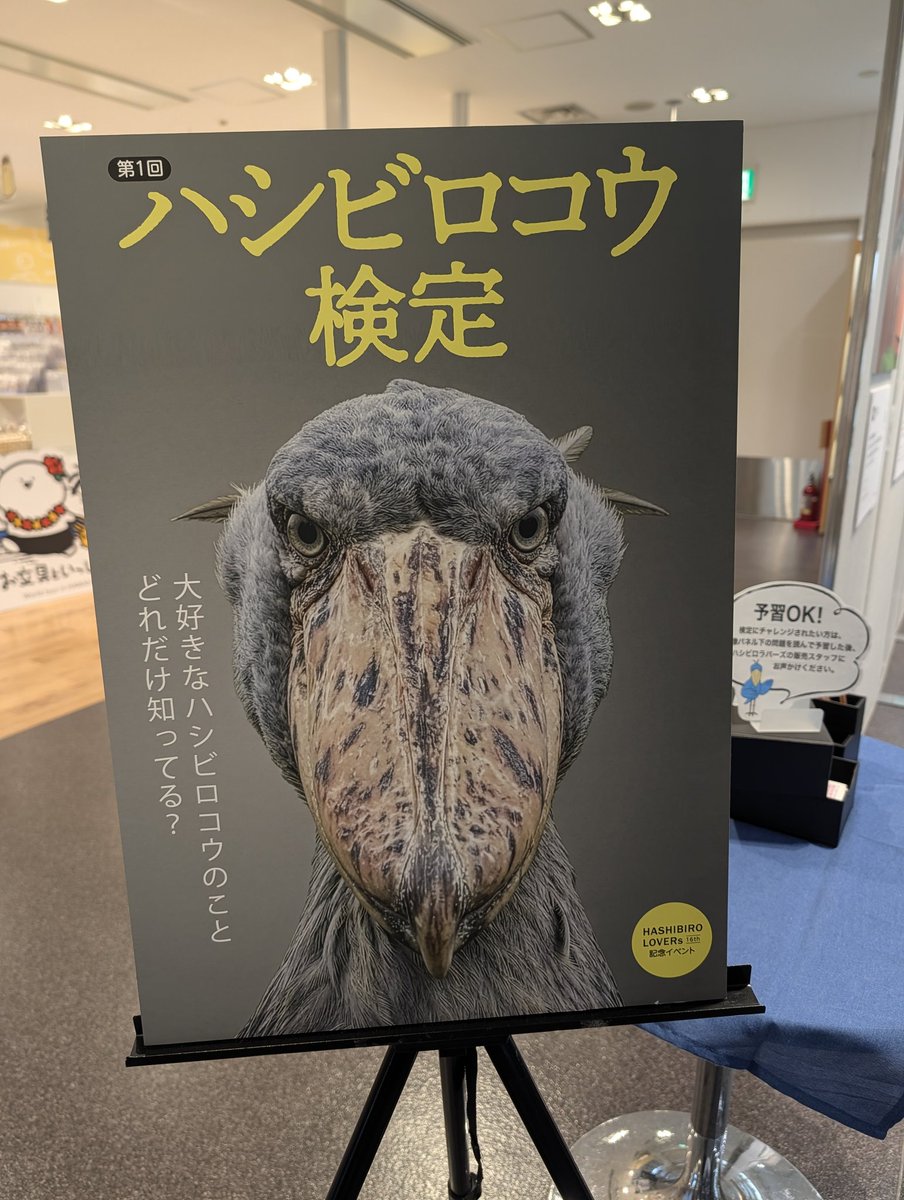 karamizakeha's tweet photo. ヤベェイベントを丸善本店でやってました！
8年くらい続いていみたいで……今まで知らなかったとはなんたる不覚！
三郎丸Ⅶに嘉之介足したくらい散財しました！
#HASHIBIROLOVERS https://t.co/aXYM99diqg