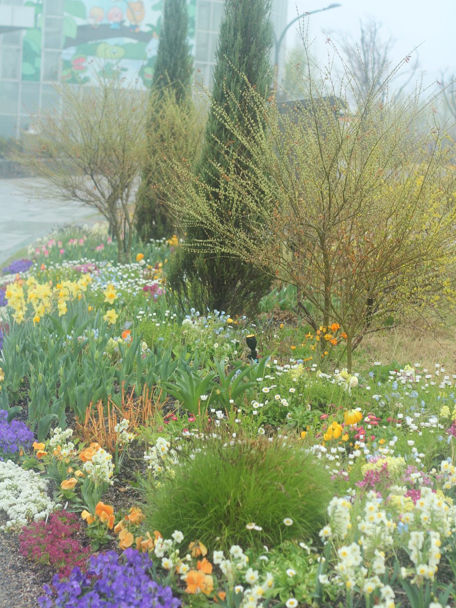 국립세종수목원 처돌이🕯 tweet media