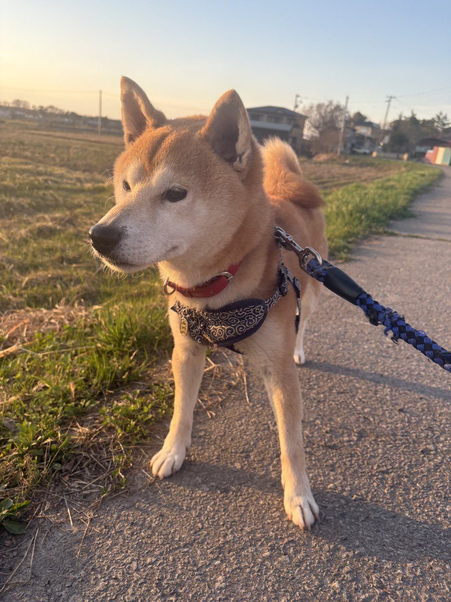 まりな tweet media