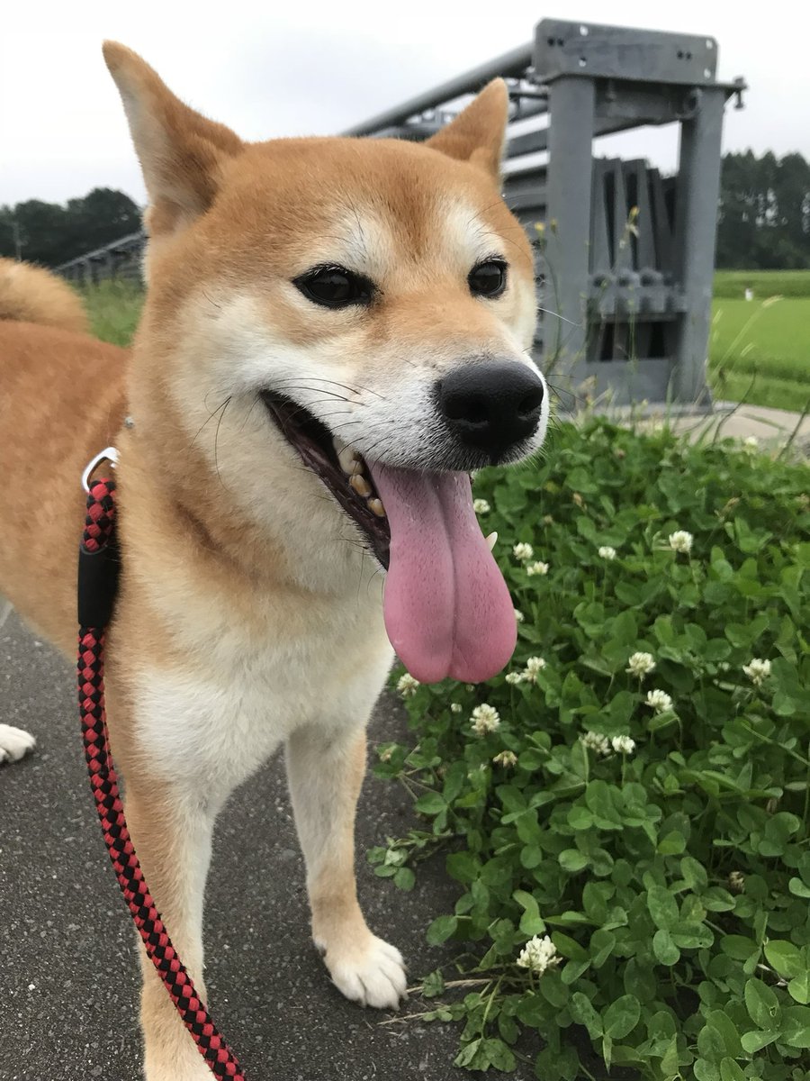 まりな tweet media