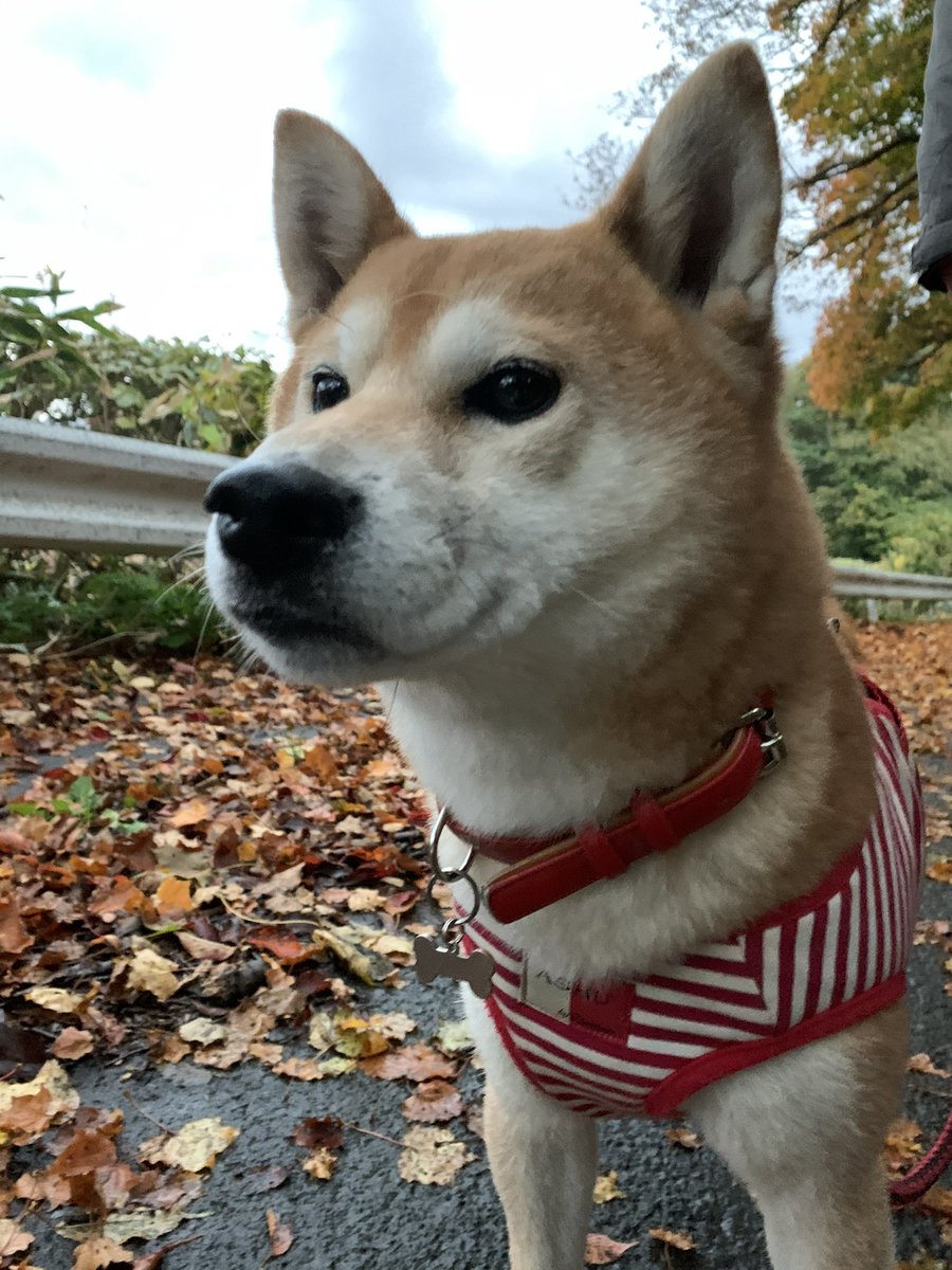 まりな tweet media