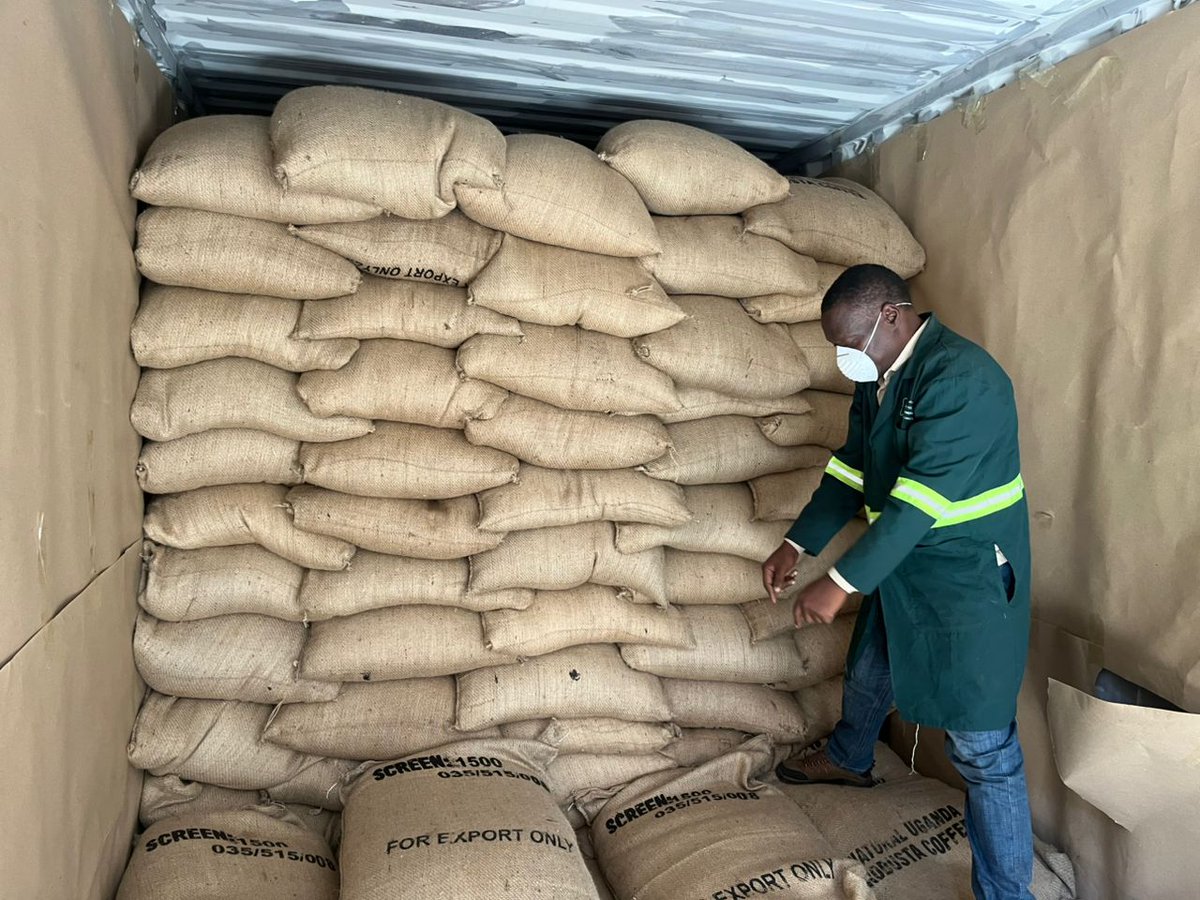 UCFAuganda's tweet photo. Today, a container of coffee was loaded for shipment to Italy https://t.co/GubdtiYTs7