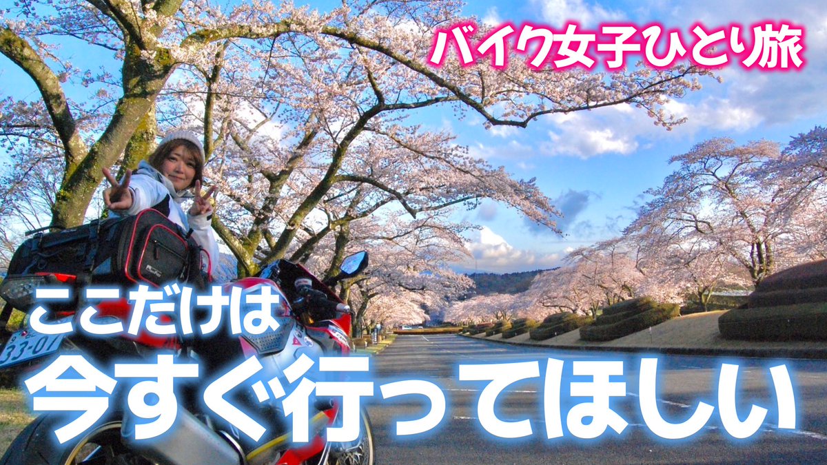 【バイク女子ひとり旅】正直、ここは最高すぎました
youtu.be/L_KhoQg2-Vg

2026年初おとまり旅は...🏍️🤭