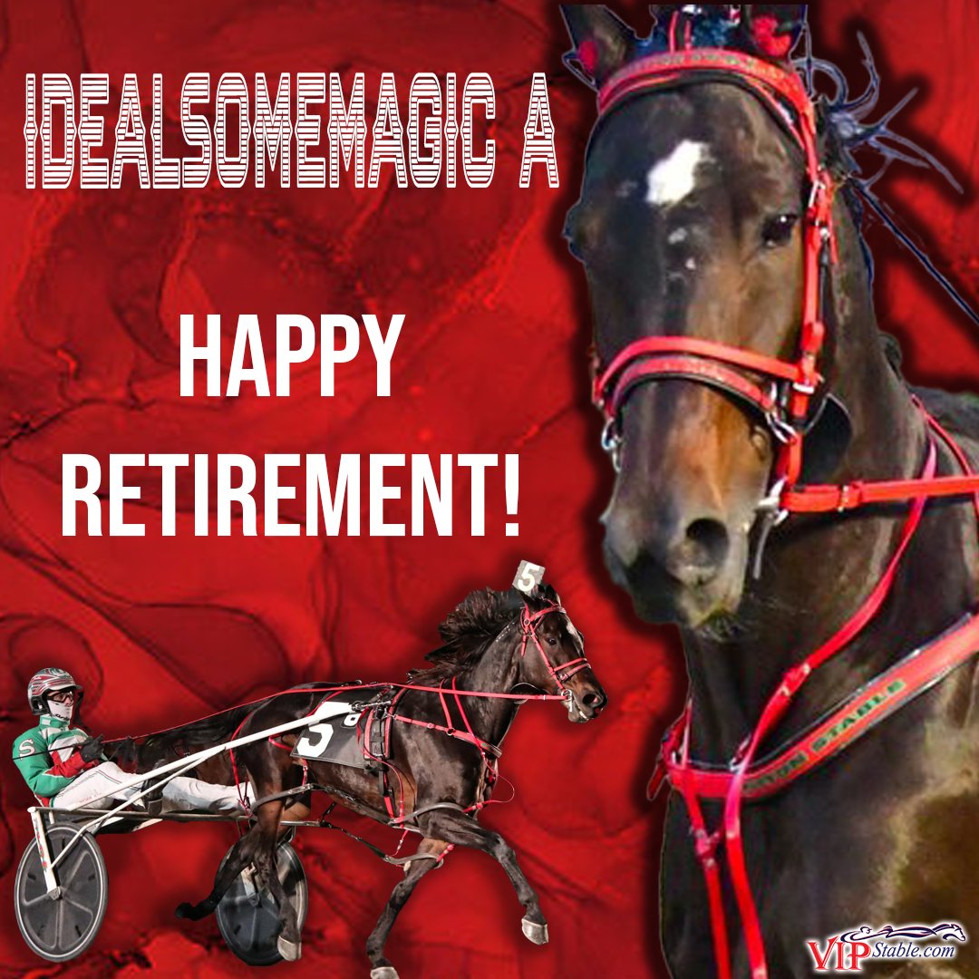 vipstable's tweet photo. Happy Retirement to Idealsomemagic A ❤️ 

#harnessracing https://t.co/x4sy8LMzEQ
