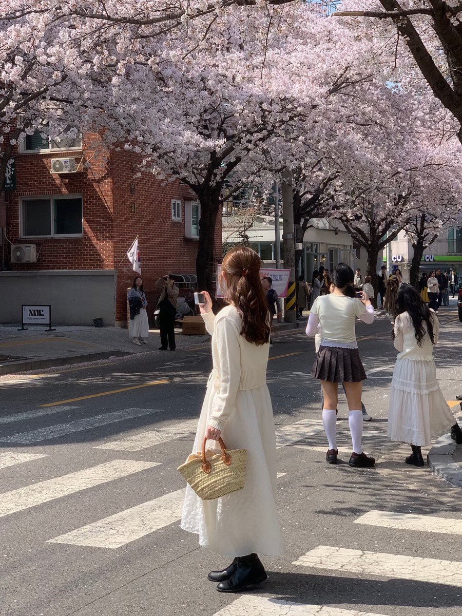 svtxu_o97's tweet photo. 桜ってほんとにかわいい🌸
桜の季節終わってほしくない~т т https://t.co/fOI5xbQO7P