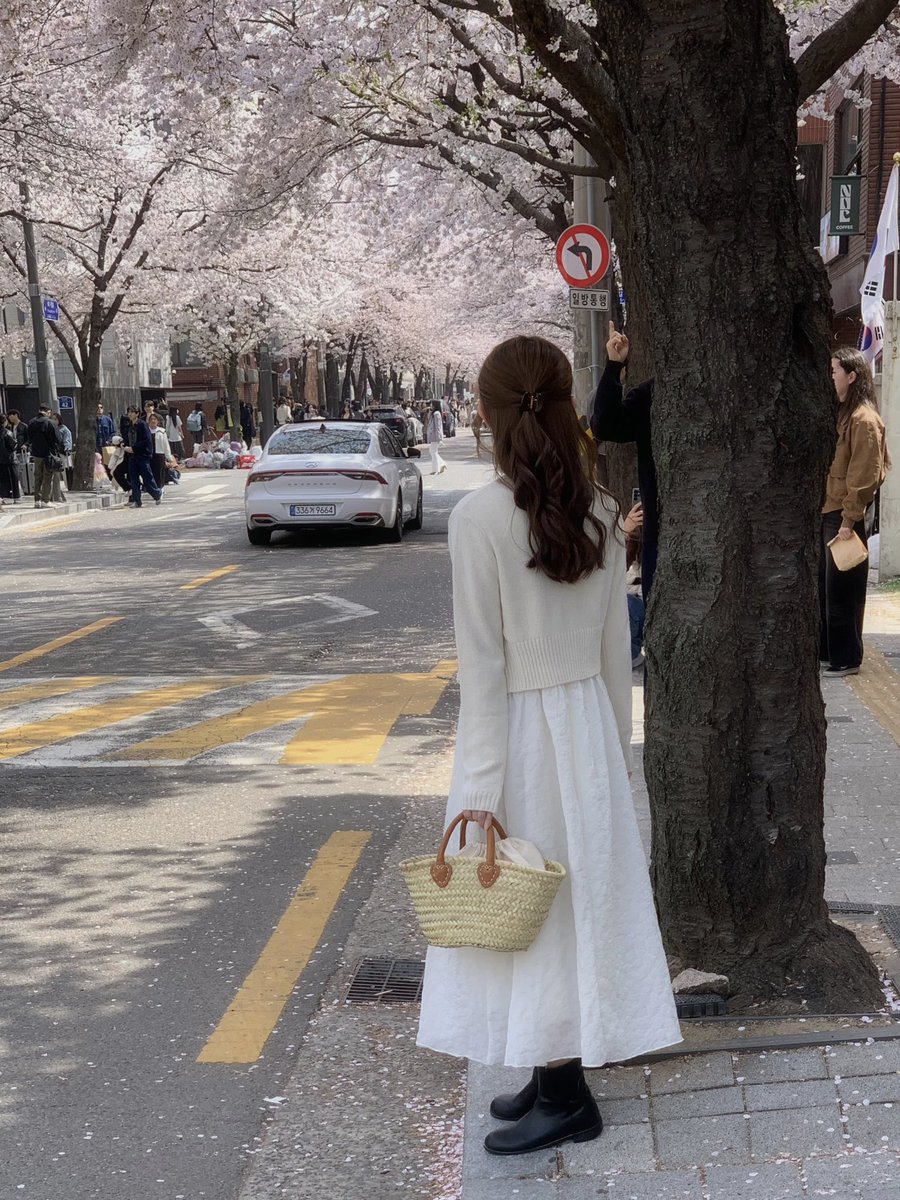 svtxu_o97's tweet photo. 桜ってほんとにかわいい🌸
桜の季節終わってほしくない~т т https://t.co/fOI5xbQO7P