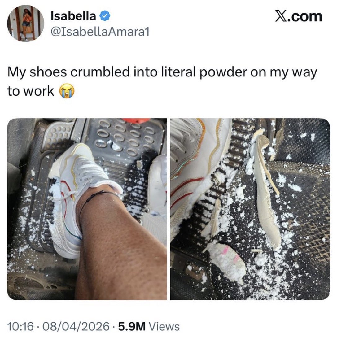 عندما تغرد الحمير tweet media