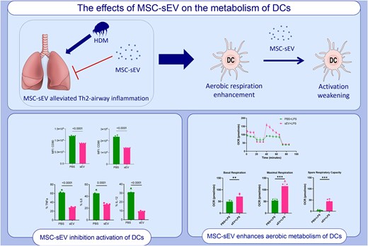 STEM CELLS Translational Medicine tweet media