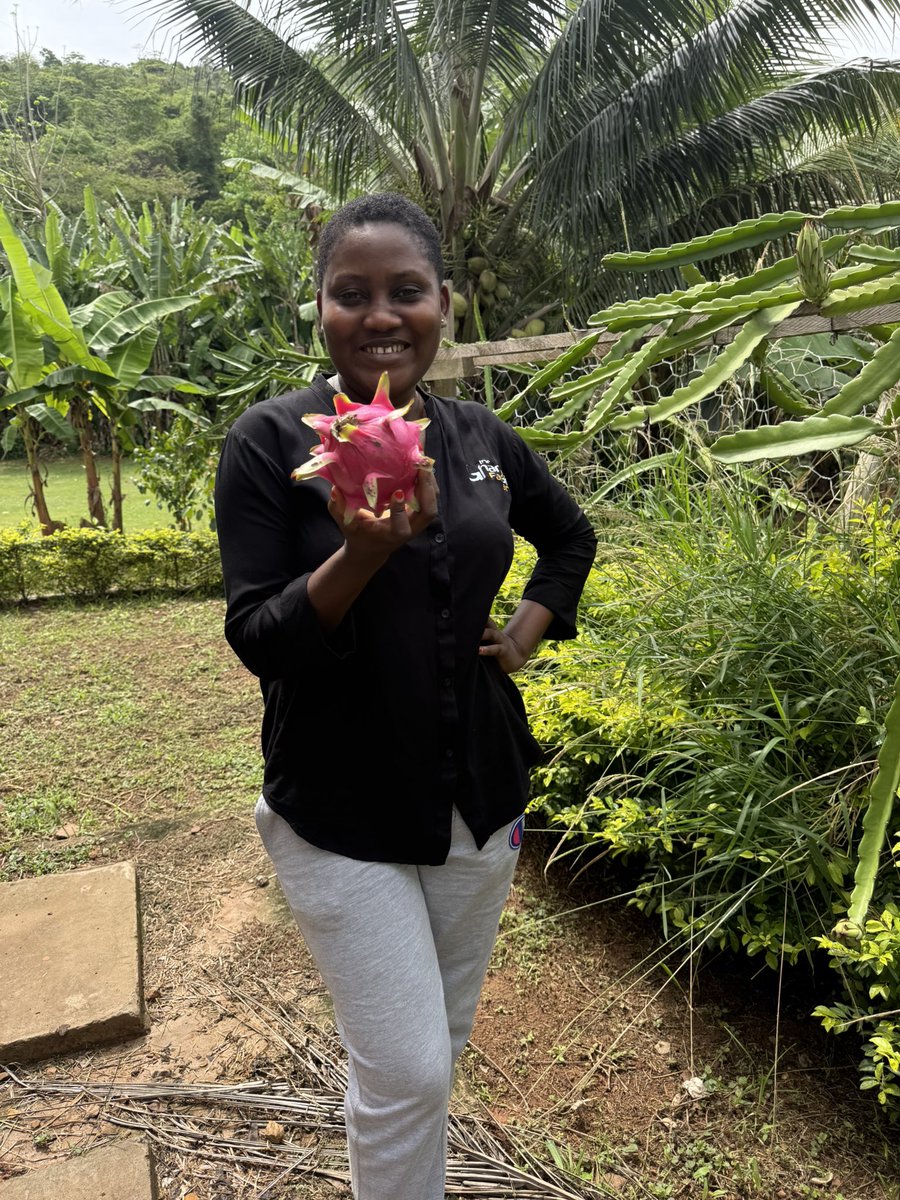 The Ghanaian Farmer tweet media