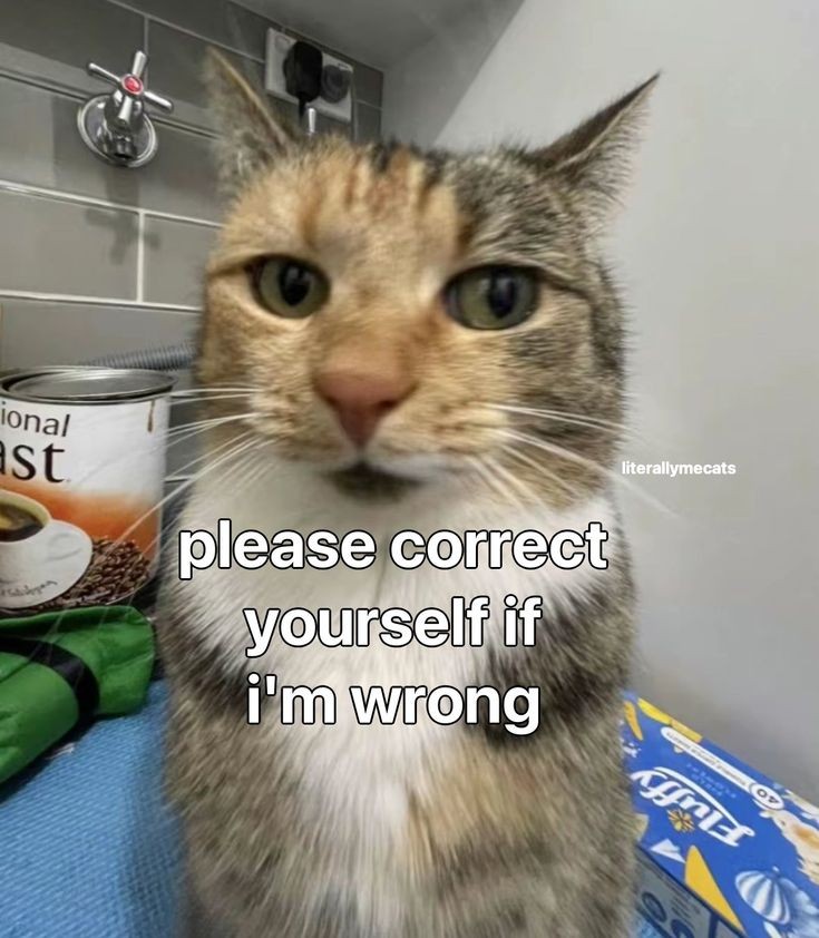 N U T tweet media